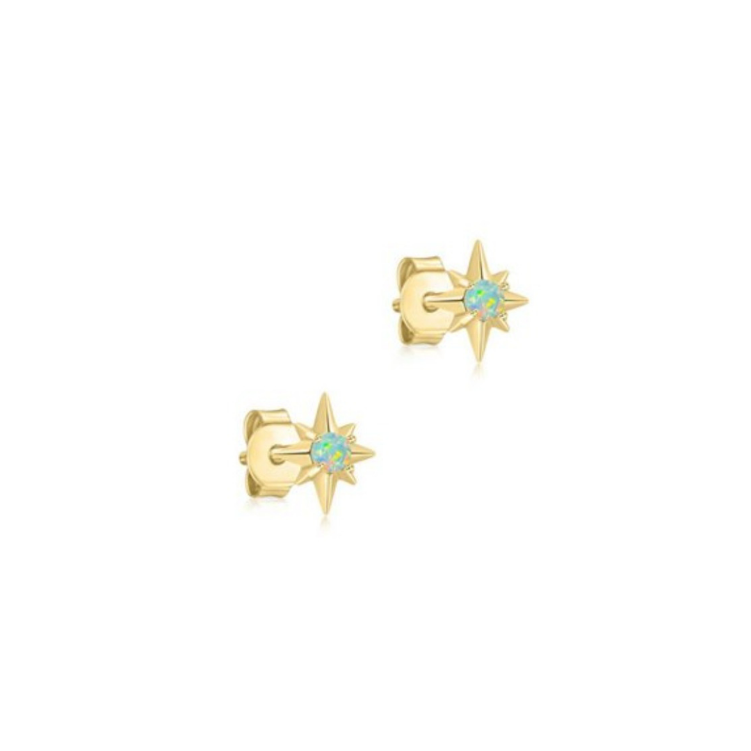 Earring - ST-1611