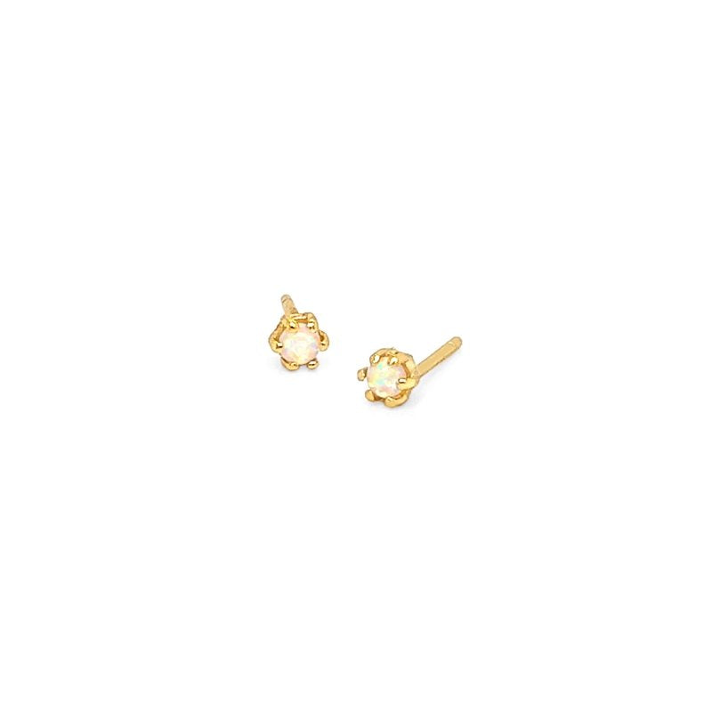 Earring - ST-1538