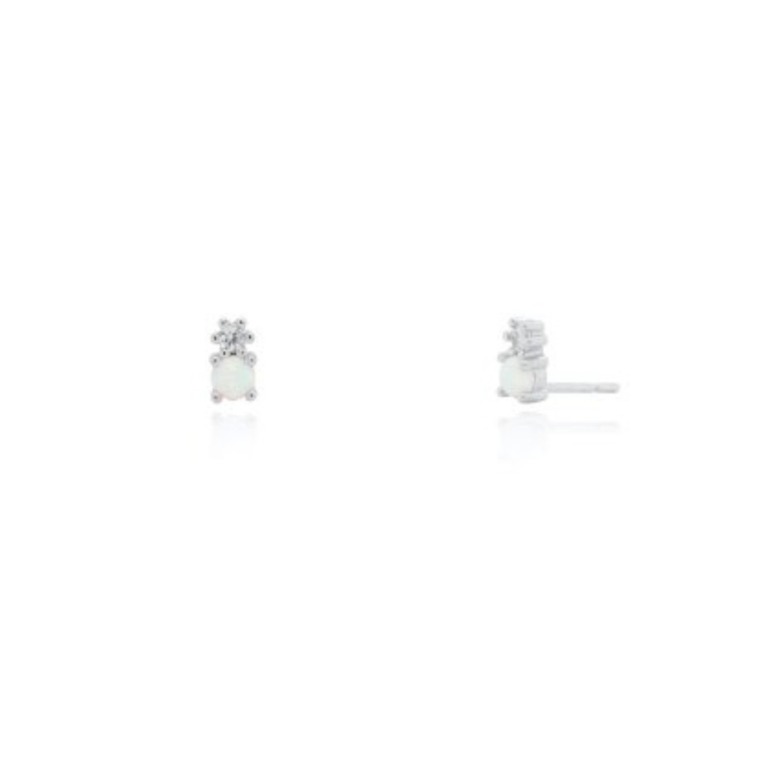 Earring - ST-1651
