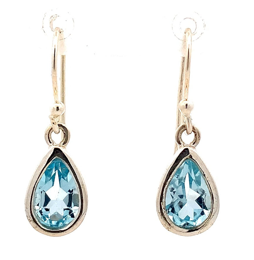 Earring - E225
