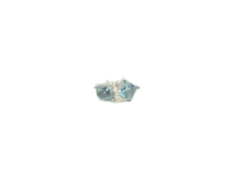Earring - E245