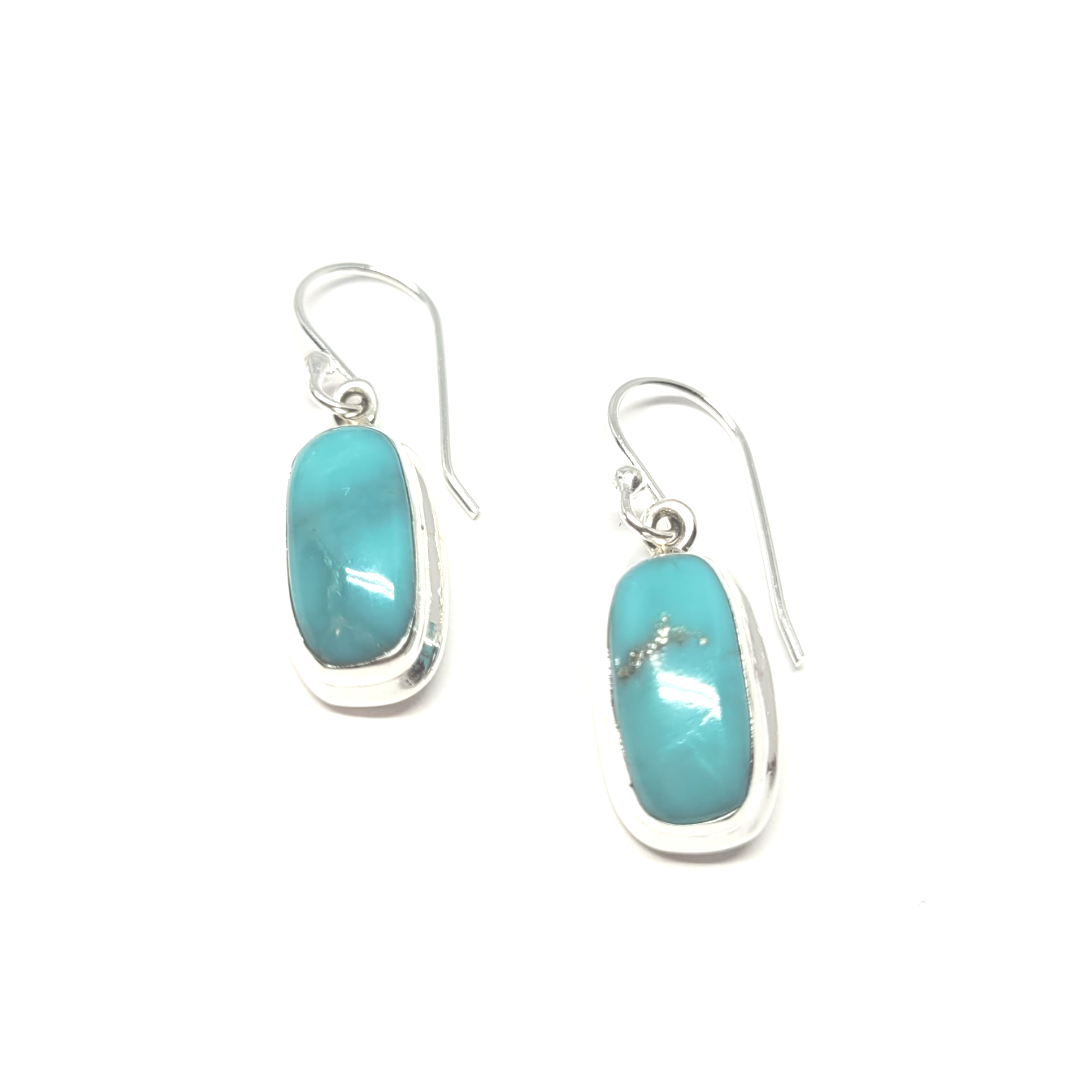 Earring - E533