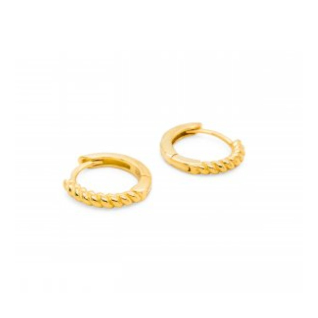 Earrings - HUG-1067