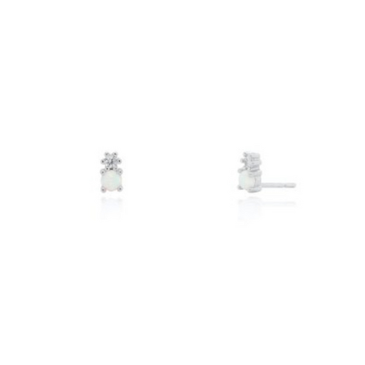 Earring - ST-1651