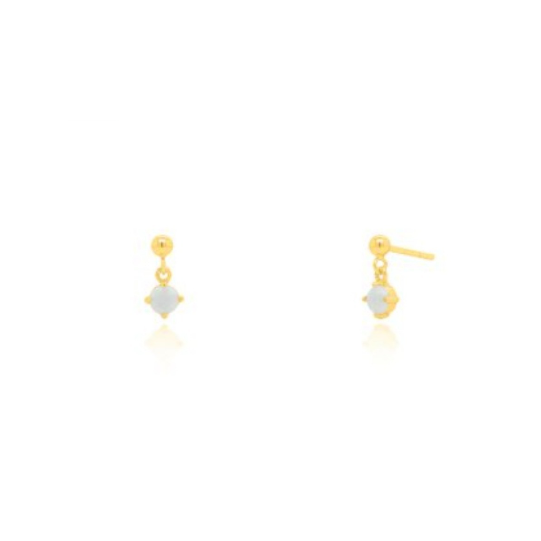 Earring - ST-1673
