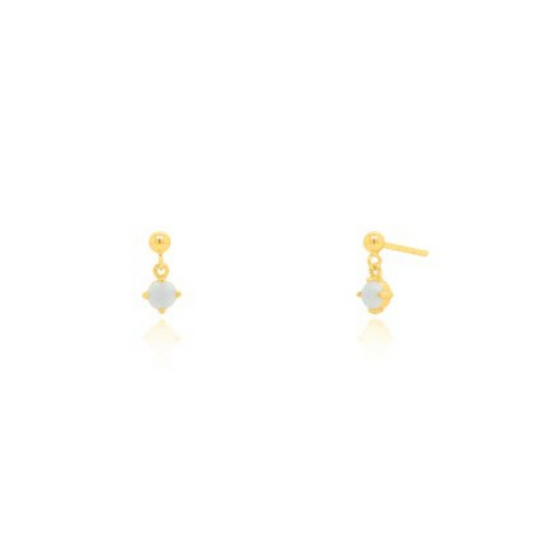 Earring - ST-1673