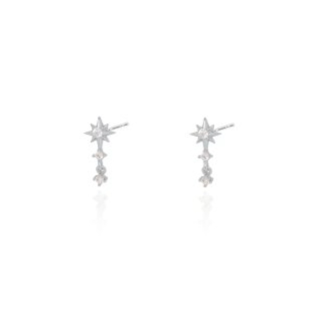 Earring - ST-1643