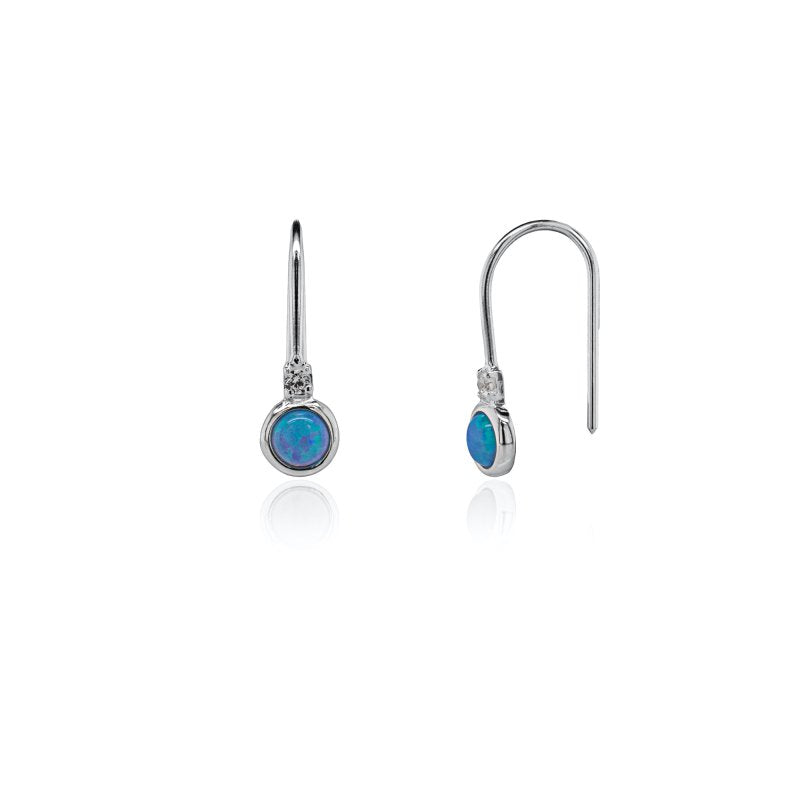 Earring - ER-1376