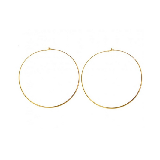 Earring - HP-1059-60
