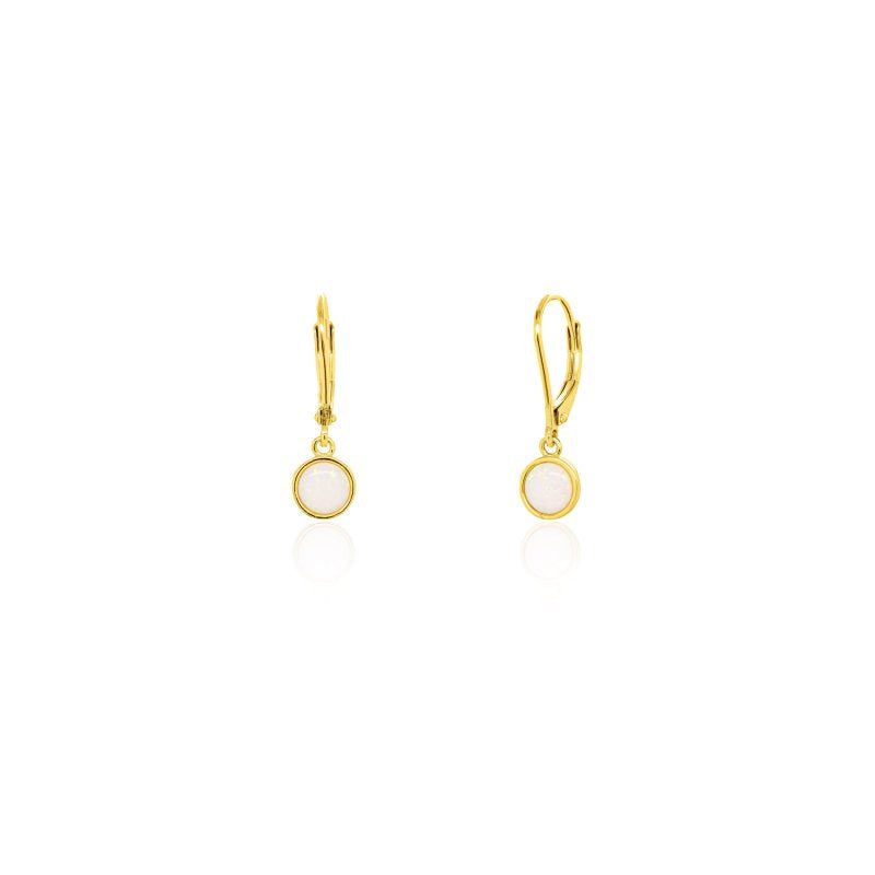 Earring - LB-1018