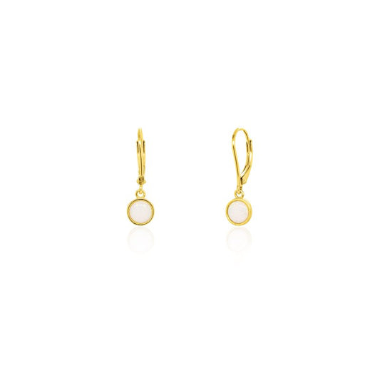 Earring - LB-1018