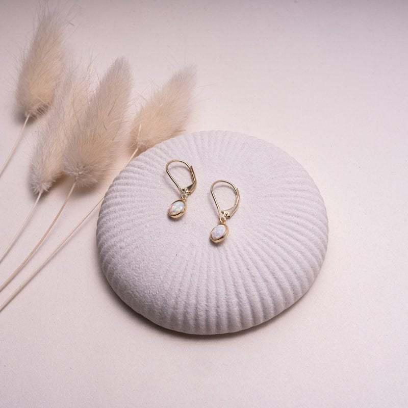 Earring - LB-1018