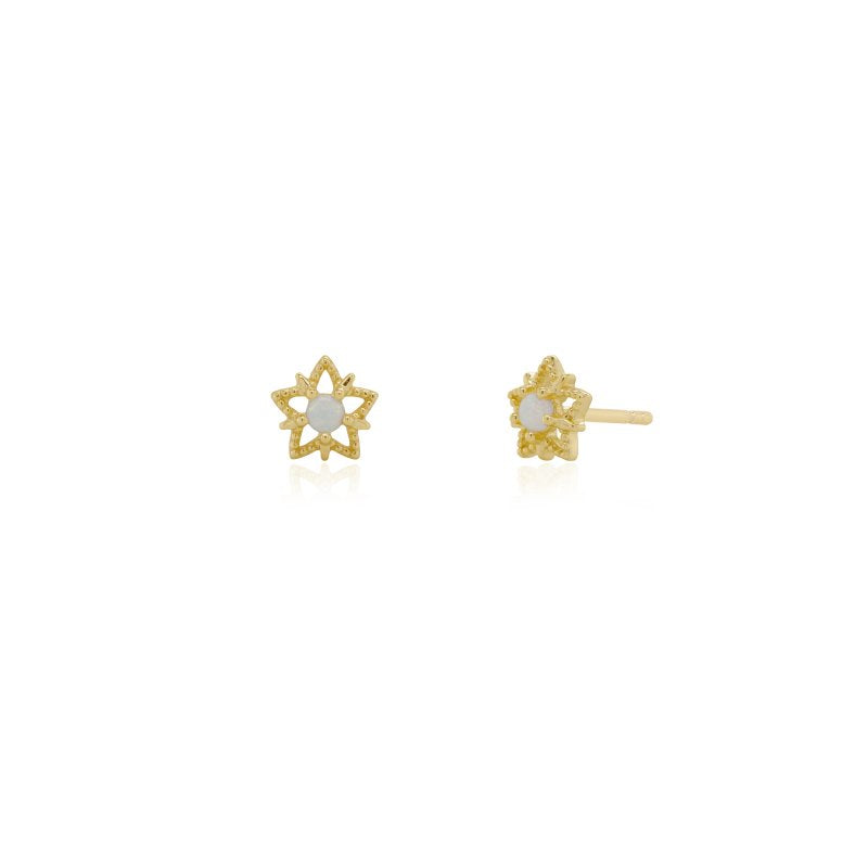Earring - ST-1718