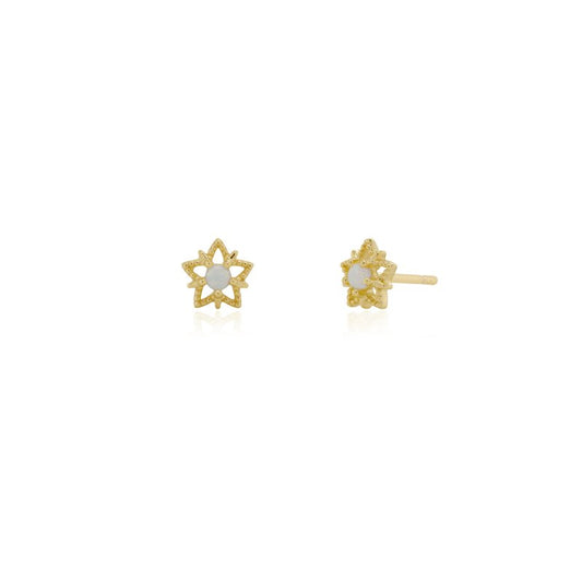 Earring - ST-1718