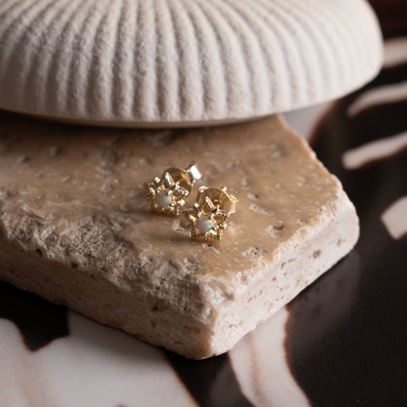 Earring - ST-1718
