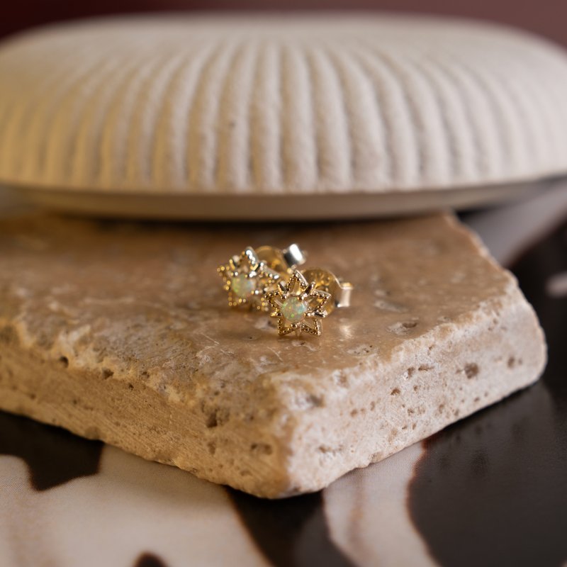 Earring - ST-1718