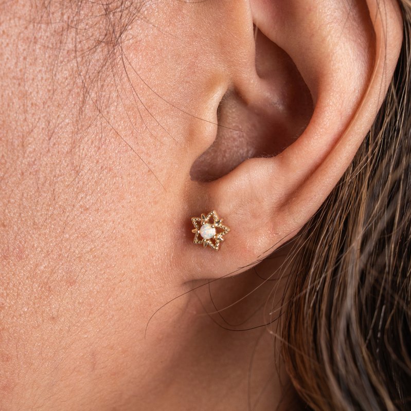 Earring - ST-1718