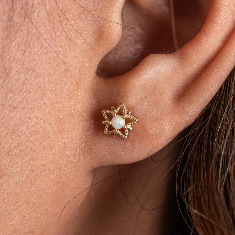 Earring - ST-1718